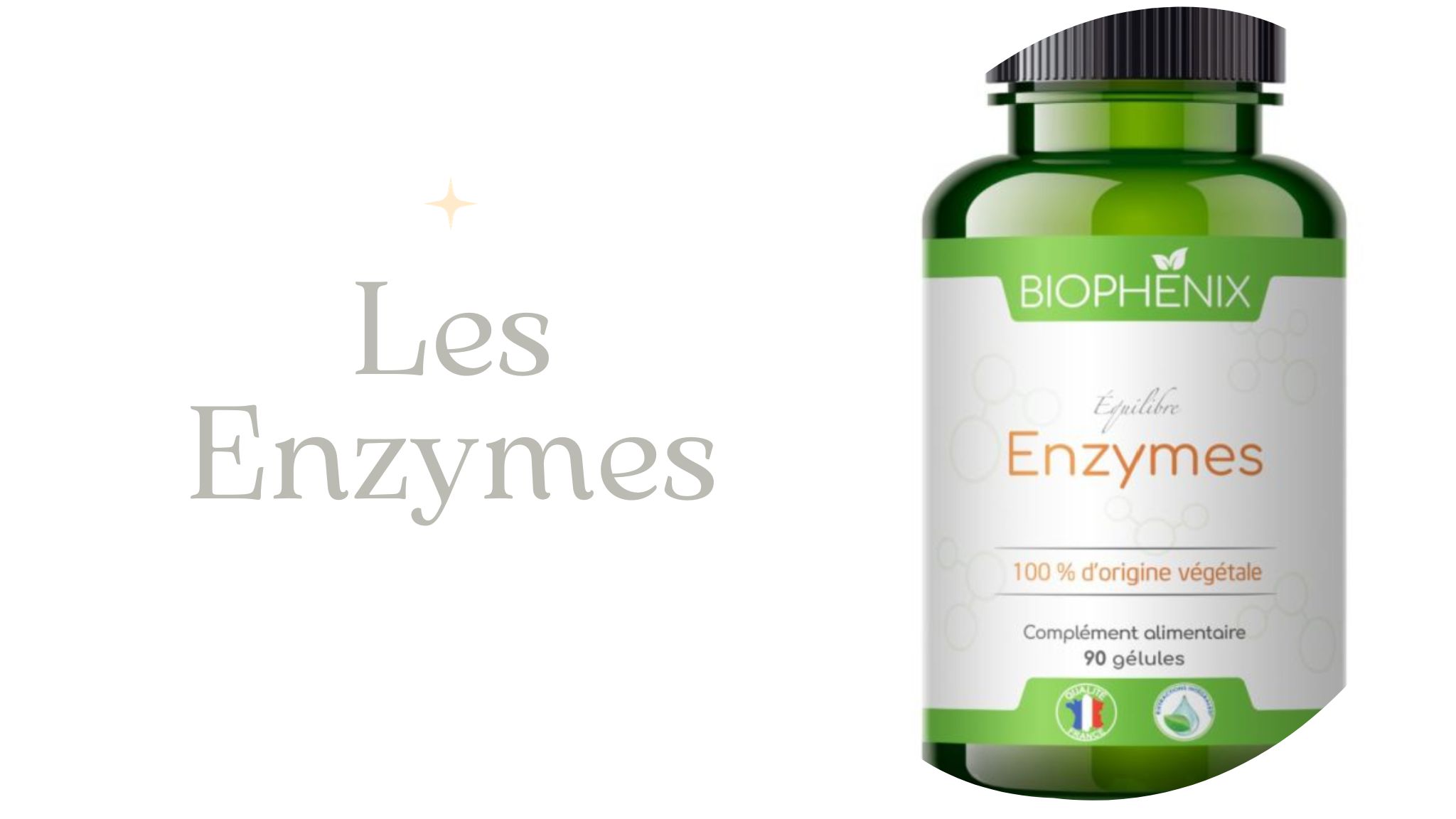 Enzymes - Biophenix